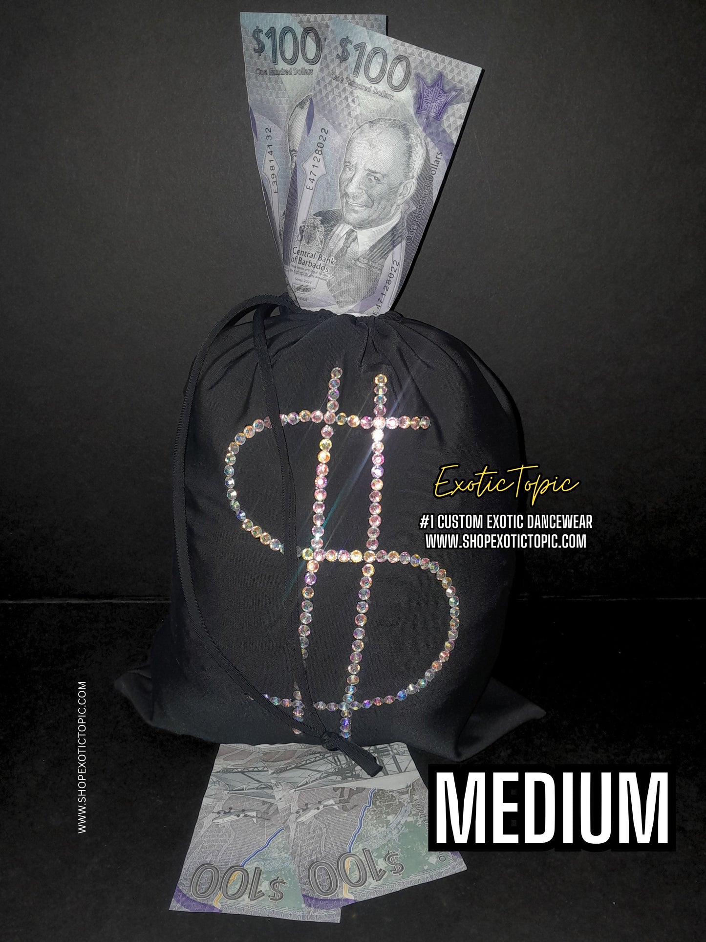 DOLLAR SIGN MONEY BAG