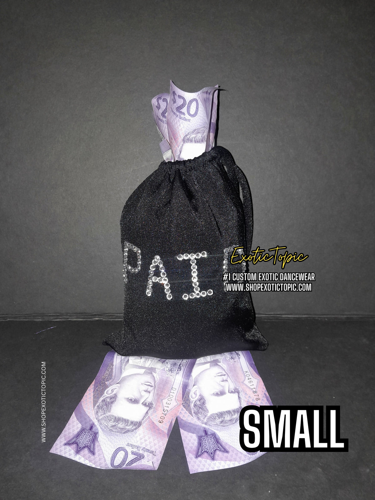 PAID MONEY BAG