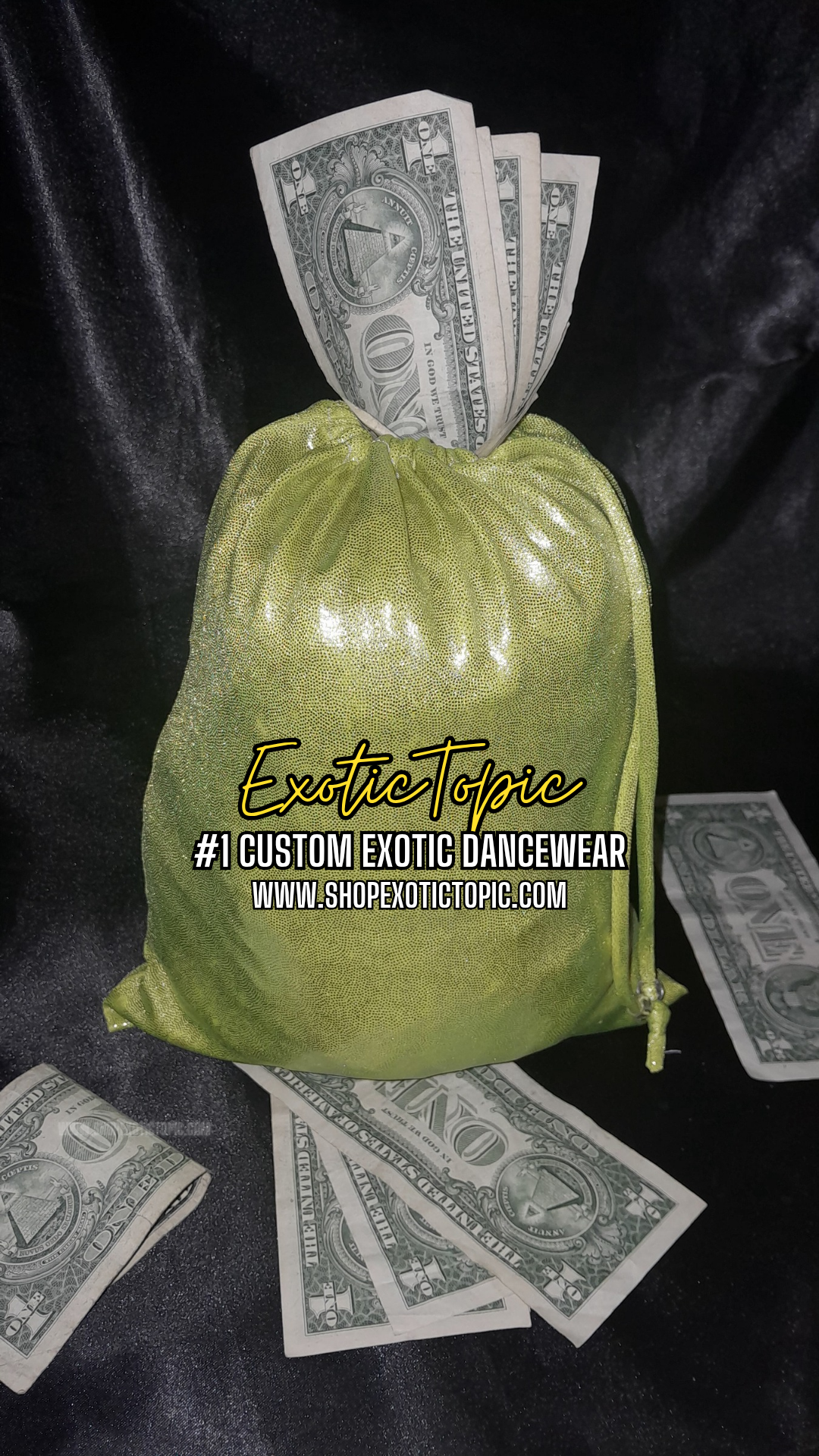 WES MONEY BAG