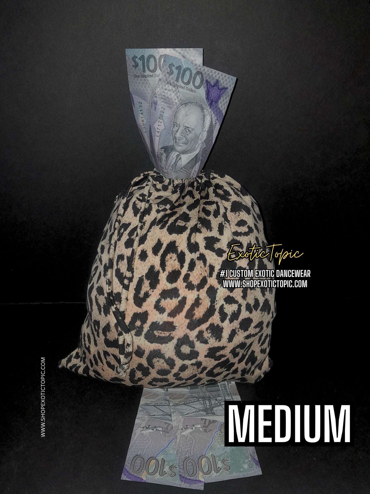 BEY MONEY BAG