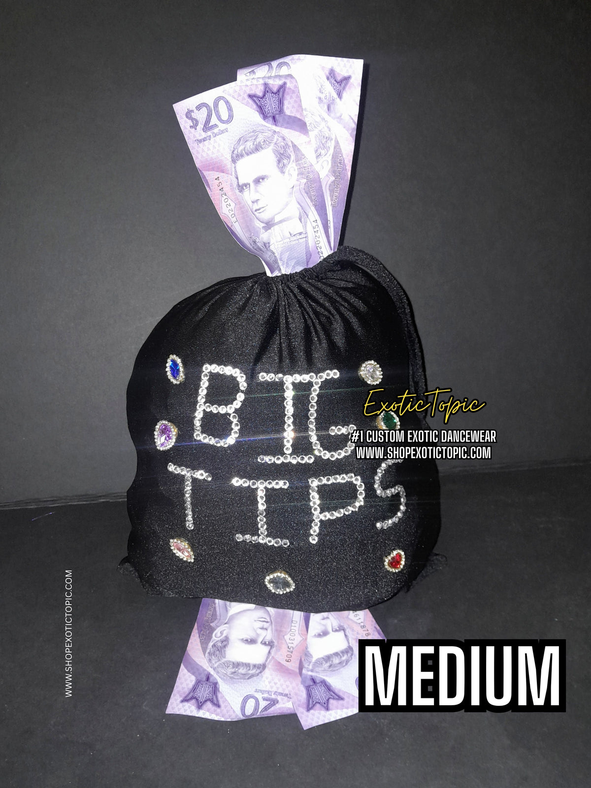 BIG TIPS MONEY BAG