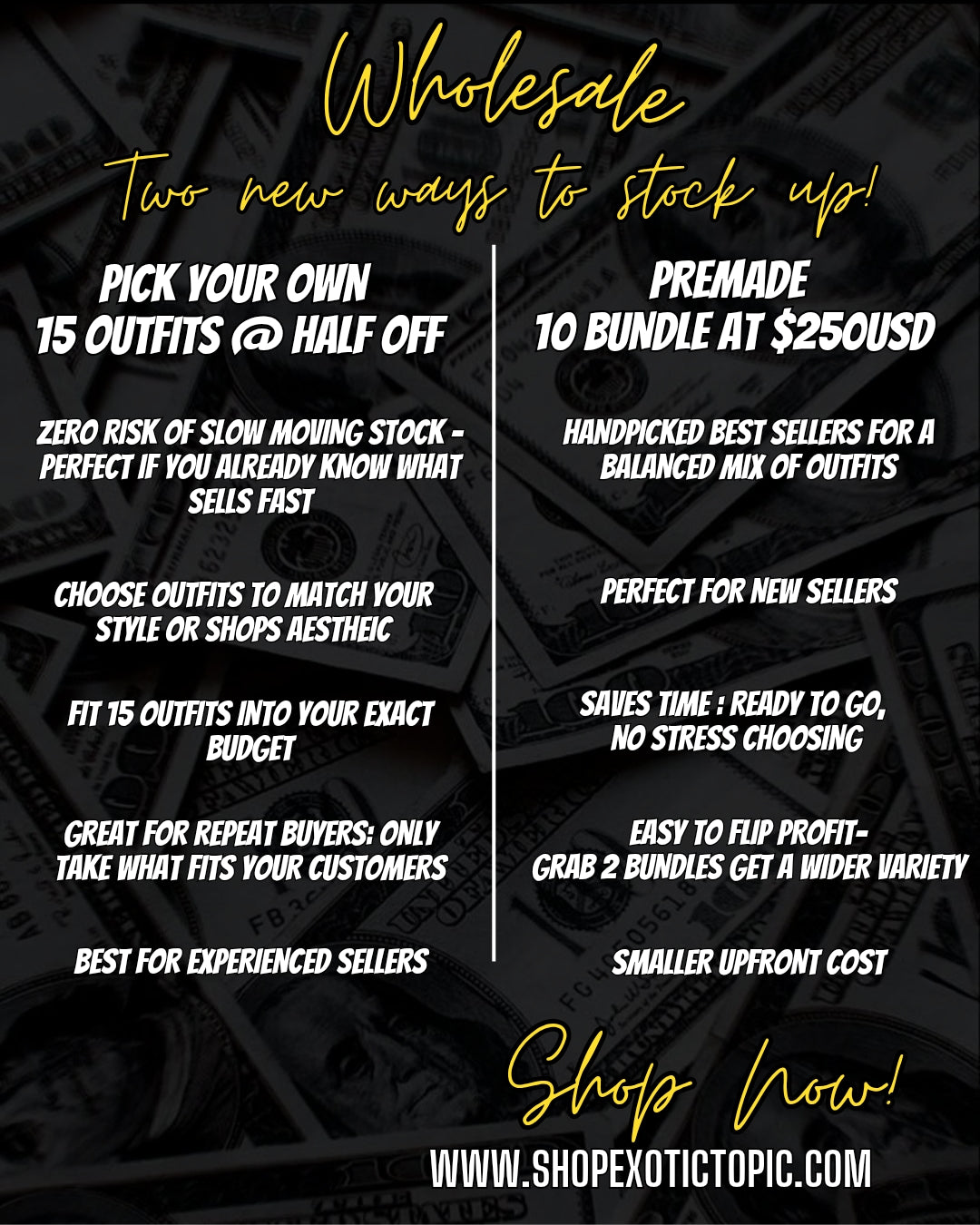 Premade Wholesale 10 Piece Bundle