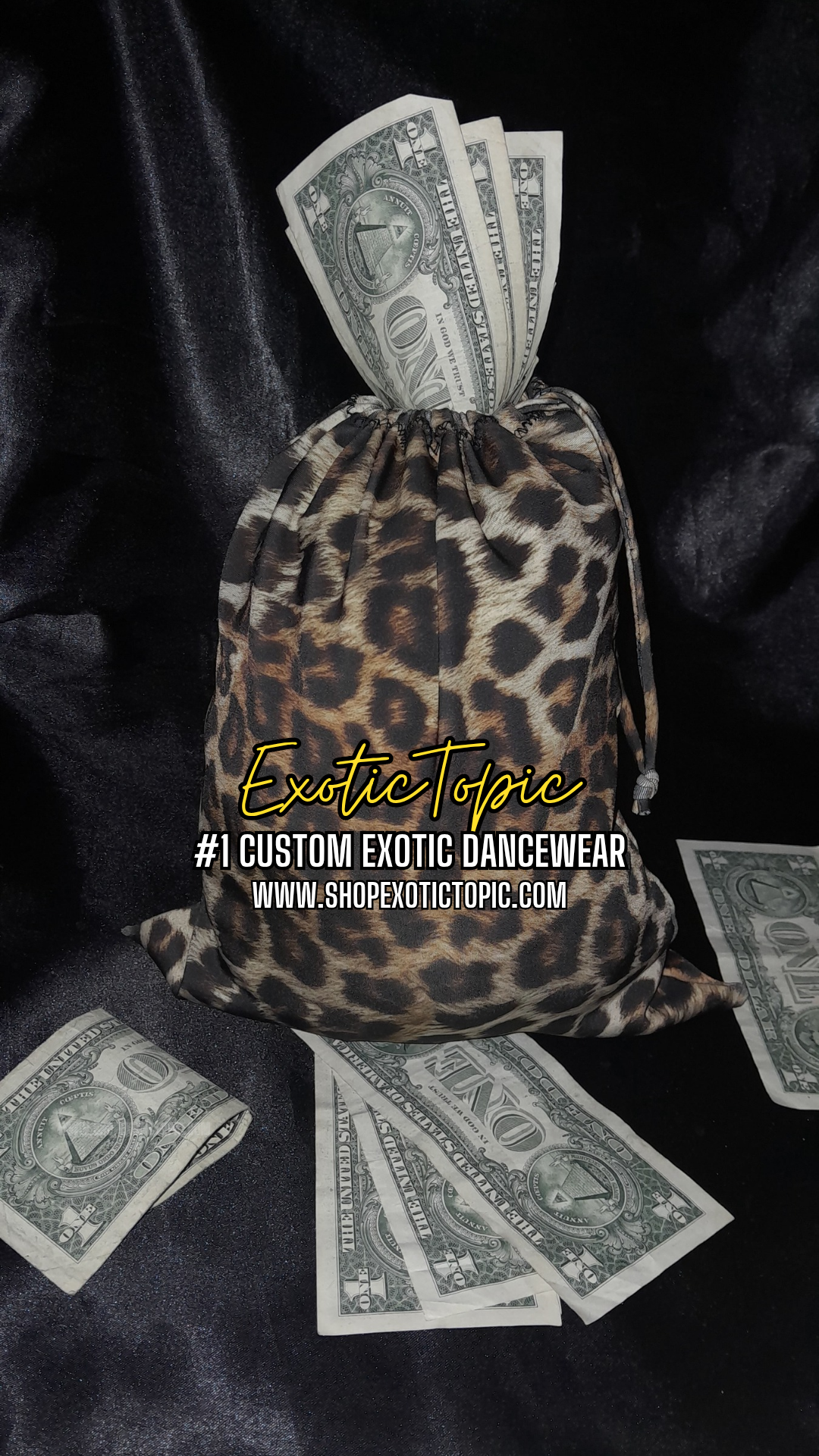 CHEETAH MONEY BAG