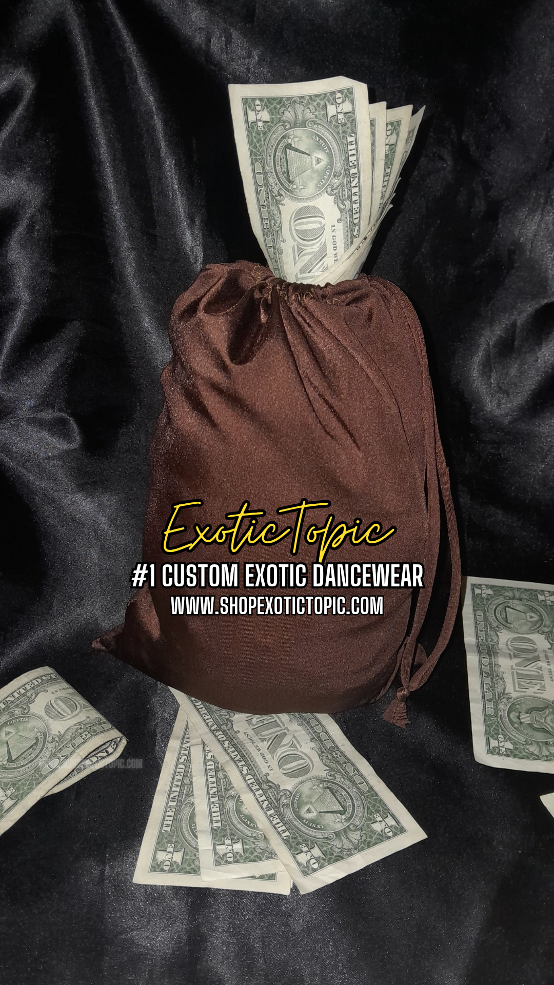 CHESTNUT CHARM MONEY BAG